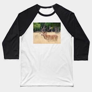 Red Deer Stag Baseball T-Shirt